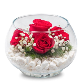  Marmaris Çiçekçi Akvaryum Vazoda 5 Kırmızı Güller