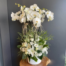  Marmaris Çiçekçi Beyaz Orkide Düğün Çiçeği
