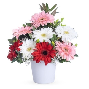  Marmaris Çiçek Siparişi - Sıcak Düşler Yaz Renkleri Gerbera Aranjmanı
