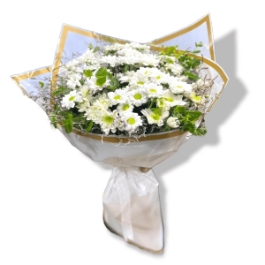  Marmaris Çiçekçi - White Daisy